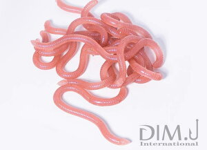 ^a ނ tBbVO d| ~~Y [ \tg ނ