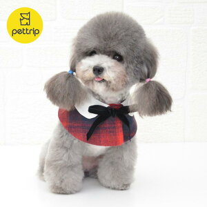 ybg  }g hbOEFA H~ 킢 V[ P[v lN^C lbN XJ[t ANZT[ 