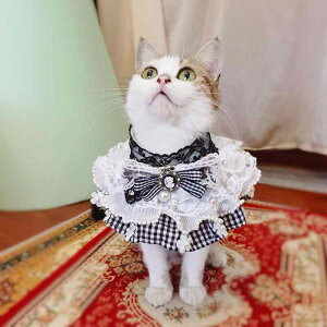 ybg  }g hbOEFA 킢  L [^ XJ[t p[ [X V[