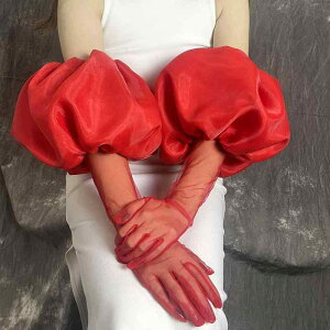 O[u O  EGfBO  uC_ ԉ ANZT[ ptX[u   bh