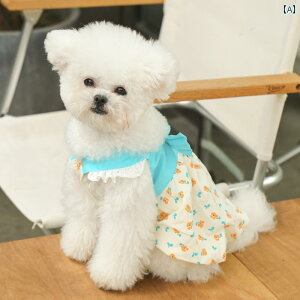  hX XJ[g s[X hbOEFA 킢  ybg  ^ u[ bh CG[