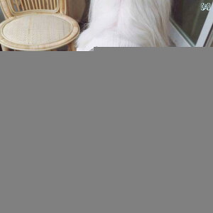  hX XJ[g s[X hbOEFA 킢  ybg t Rbg L { zCg