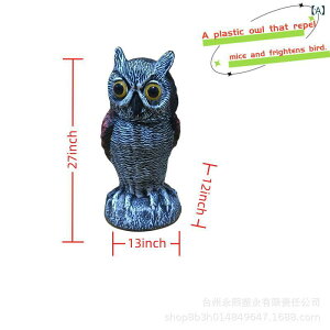 K[fI[ig tNE IuWF vX`bN A f  eX x_  u Qb΍ lY~ Q   _A[gX^C Op XCJbh 