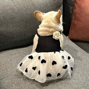  hX s[X hbOEFA 킢  ybg  JWA Rbg ubN