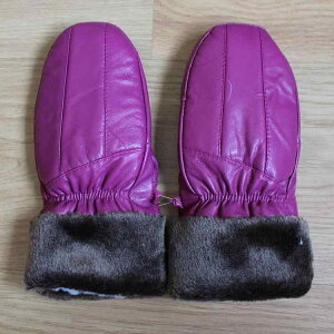  jp rv {v U[ O[u H~ ~p ۉ h g N  Vv X^CbV AEghA TCNO oCN ] ʋ ʊw hO[u