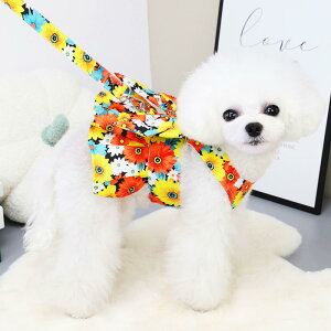  hX XJ[g s[X hbOEFA 킢  ybg ԕ  CG[ u[ p[v