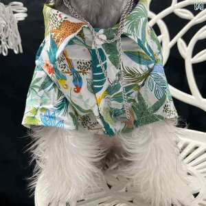 pĕ ^ ^ K ʋC ybgAp ybgEFA   ԕ efB ViEU[ R[M[ pO O[