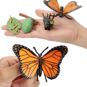  tBMA  ͌^ q RNV  vX`bN  JG I Ђ悱 ĂƂ A