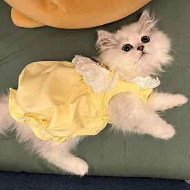 犬服 ドレス スカート ワンピース ドッグウェア かわいい おしゃれ ペット 薄手 夏 小型犬 猫 猫 イエロー ピンク
