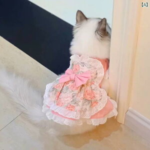  hX XJ[g s[X hbOEFA 킢  ybg [^ Ch L L  sN u[