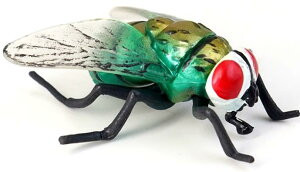  tBMA  ͌^ q RNV   Mtg nG I T\ Jf A A