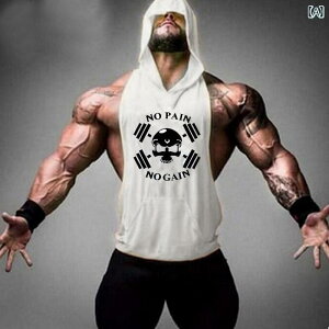 Y m[X[u p[J[ JWA {fB[r tBbglX tVc t t[ht Rbg zCg O[ CG[