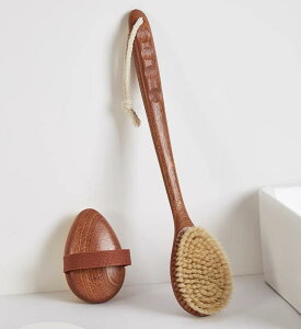 {fBuV ؐ w ̐ PA oXpi n[g ؖ O nh _炩 ƒp RpNg