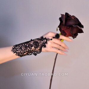 ANZT[ TCo[pN  fB[X [^ ubN SVbN [X  O  WG[