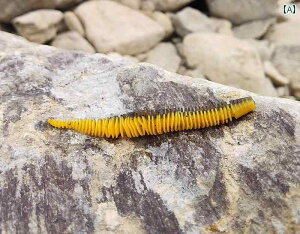 ^a ނ tBbVO d| ~~Y [ ނ