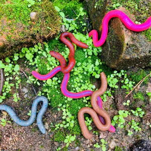 ^a ނ tBbVO d| ~~Y [ \tg ނ