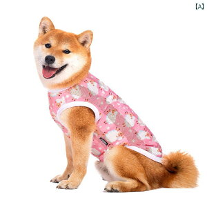 pĕ ^ ^ K ʋC ybgAp ybgEFA  S[f VFp[h Ă~ sN u[ zCg