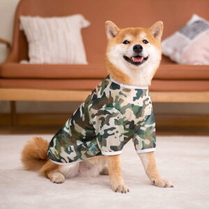  hbOEFA 킢  ybg ^  bV ʋC S[fgo[ uh[ Rbg  IW