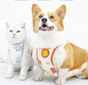  hbOEFA pW}  ybg R[M[ K  L  u[ IW