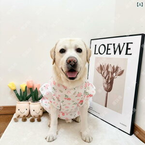 pĕ ^ K ʋC ybgAp ybgEF S[fgo[ uh[ TGh іh~   xXg zCg