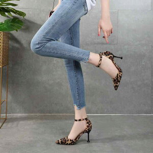 pvX fB[X nCq[ qE Ip[h t |CebhgD XeBbg C  obN L  T_