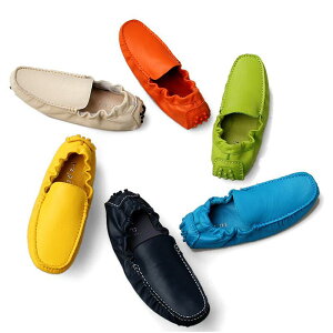 Xb| V[Y Y fB[X  v JWA ؍ C x[W lCr[ O[