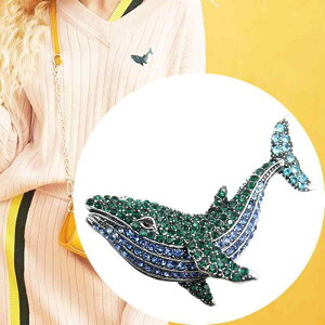 Y fB[X u[` X[c ANZT[ ViKX NW \  CJ R[g S[h u[