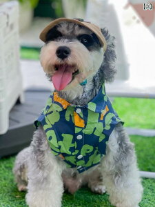 pĕ ^ K ʋC ybgAp ybgEFA m[X[u Vc t  Eh~ efB rV ViEU[ L O[ IW