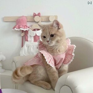  hX XJ[g s[X hbOEFA 킢  ybg L L  ^ sN