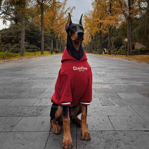  hbOEFA ybg NX}X ߑ 킢  ^ H~ g g[i[ S[fgo[ VN bh