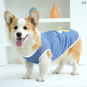 pĕ ^ K ʋC ybgAp ybgEFA R[M[ efB rV t tH xXg Eh~  ^ u[ uE