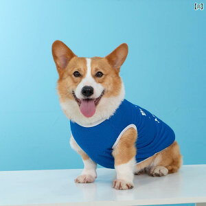  ^Ngbv m[X[u Ȃ hbOEFA 킢  ybg t  ^ ^ xXg