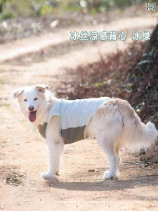 pĕ ^ K ʋC ybgAp ybgEFA N[xXg ƒp  Ăh~  Eh~ O[ sN u[