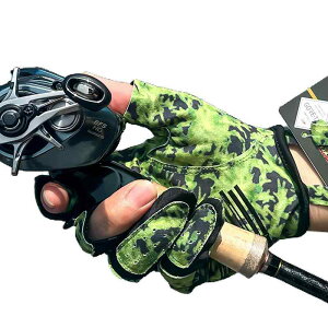 tBbVOO[u  ނ AEghA  A[ 3{w 5{w Ă~ ʋC  bh O[