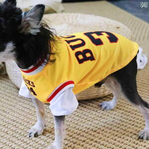 pĕ ^ K ʋC ybgAp ybgEFA   ʋC W[W Ă~ S[fgo[ CG[ O[