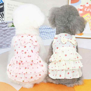  hX XJ[g s[X hbOEFA 킢  ybg  ʋC zCg sN CG[