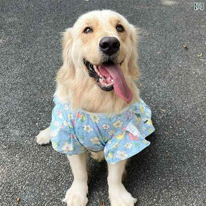 pĕ ^ ^ K ʋC ybgAp ybgEFA S[fgo[ uh[ TGh {[_[R[   xXg u[