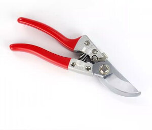 ΂ K[fjO |  nT~ }؂ t[AWg ʎ ƒp ԉ  S[h