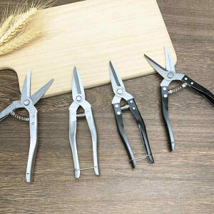 ΂ K[fjO |  nT~ }؂ t[AWg A ʕ n H ƒp ԉ Vo[ ubN CG[