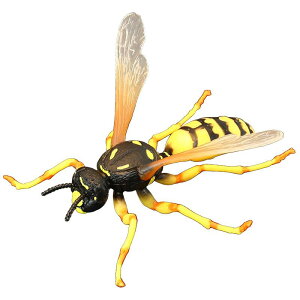  tBMA  ͌^ q RNV j̎q ̎q  XYo` n` I Mtg A