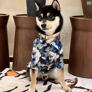 pĕ ^ ^ K ʋC ybgAp ybgEFA efB ViEU[ L g  X[c lCr[