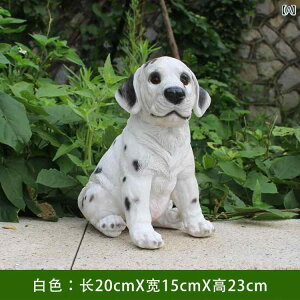 A  tBMA Y fB[X ͋[    lCeBu rO[  ƒ ^E nEX