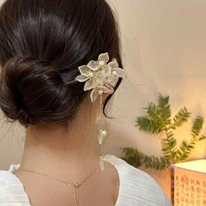 񂴂 { fB[X wAANZT[  a a  p[ ^bZ   t@bV