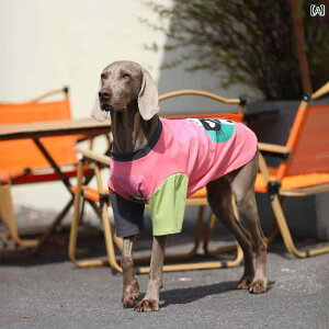 pĕ ^ K ʋC ybgAp ybgEFA  uh[ S[f R[ іh~ Ipbh  sN