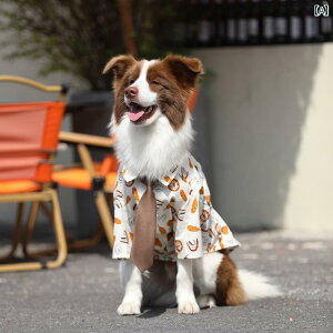 pĕ ^ K ʋC ybgAp ybgEFA  킢 {[_[R[ Vc S[fgo[ uh[ h[x} Eh~  zCg