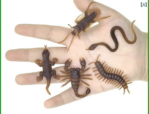  tBMA  ͌^ q RNV T\ SLu    vX`bN A