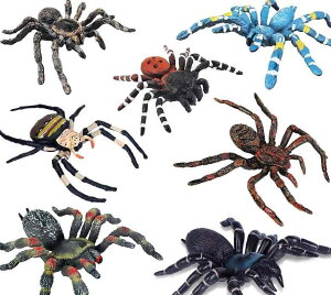  tBMA  ͌^ q RNV  Ȋw  Mtg j̎q N w A