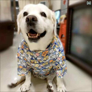 pĕ ^ K ʋC ybgAp ybgEFA uh[ S[fgo[ bV K ʋC   u[