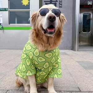 pĕ ^ K ʋC ybgAp ybgEFA uh[ S[fgo[   bV ʋC O[