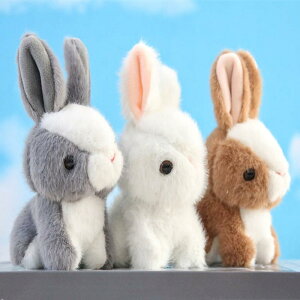 L[z_[ʂ 킢 ETM y_g obO `[ t@[ zCg sN uE